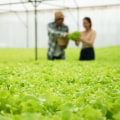 The Advantages of Contract Farming for Farmers